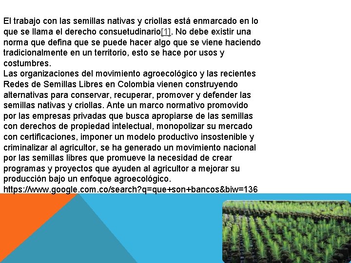 El trabajo con las semillas nativas y criollas está enmarcado en lo que se