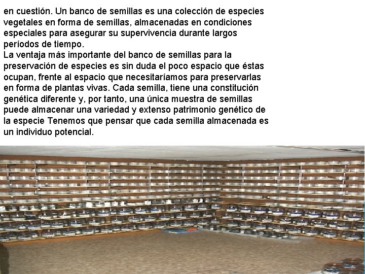 en cuestión. Un banco de semillas es una colección de especies vegetales en forma