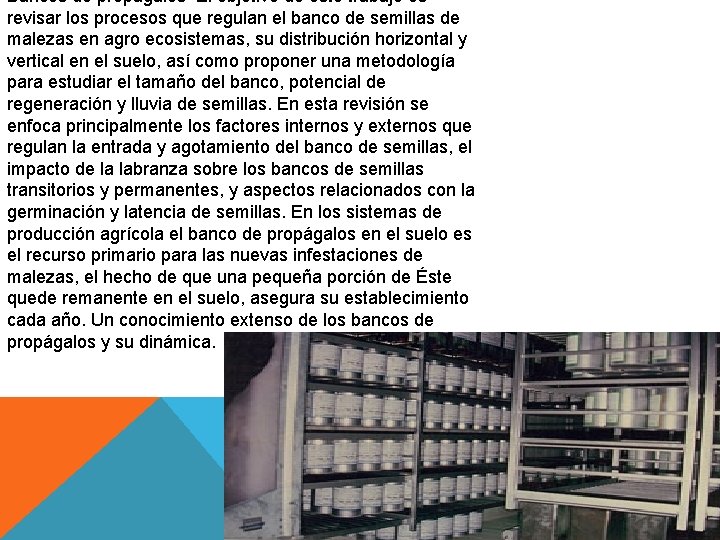 Bancos de propágalos El objetivo de este trabajo es revisar los procesos que regulan