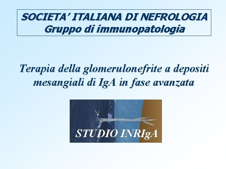 SOCIETA’ ITALIANA DI NEFROLOGIA Gruppo di immunopatologia Terapia della glomerulonefrite a depositi mesangiali di