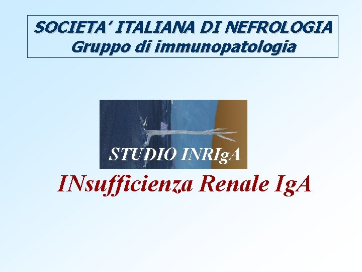 SOCIETA’ ITALIANA DI NEFROLOGIA Gruppo di immunopatologia STUDIO INRIg. A INsufficienza Renale Ig. A