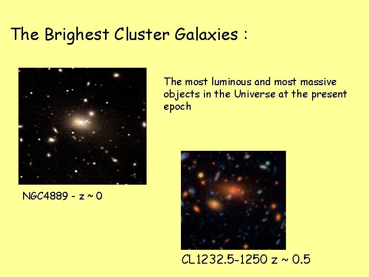 The Brighest Cluster Galaxies : The most luminous and most massive objects in the