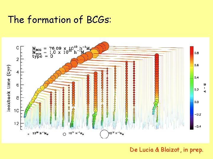 The formation of BCGs: De Lucia & Blaizot, in prep. 