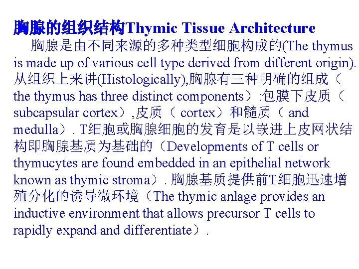 胸腺的组织结构Thymic Tissue Architecture 胸腺是由不同来源的多种类型细胞构成的(The thymus is made up of various cell type derived from