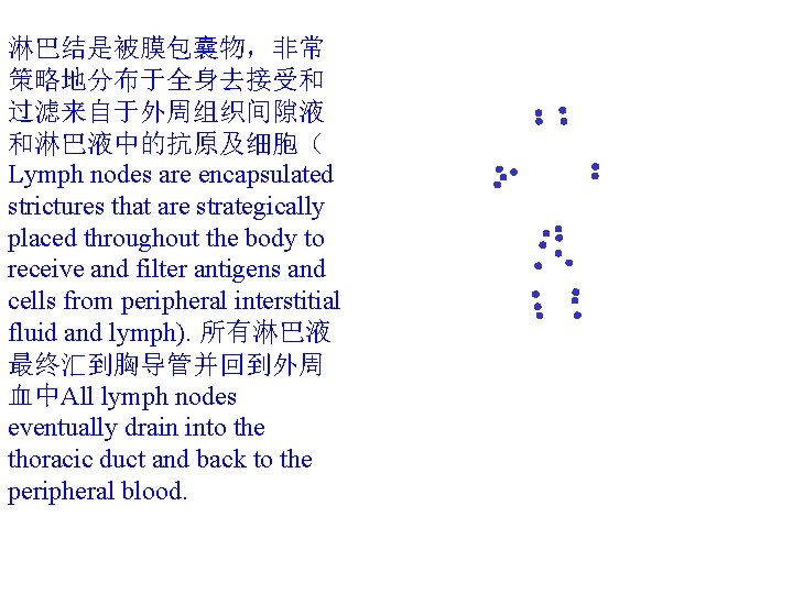 淋巴结是被膜包囊物，非常 策略地分布于全身去接受和 过滤来自于外周组织间隙液 和淋巴液中的抗原及细胞（ Lymph nodes are encapsulated strictures that are strategically placed throughout