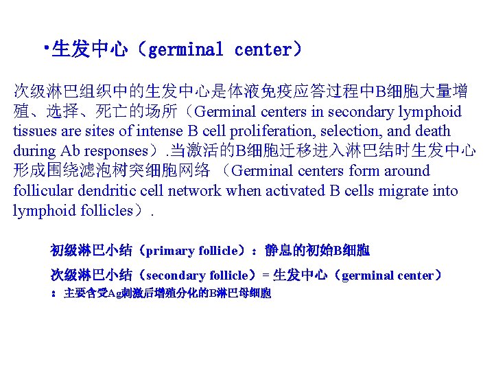  • 生发中心（germinal center） 次级淋巴组织中的生发中心是体液免疫应答过程中B细胞大量增 殖、选择、死亡的场所（Germinal centers in secondary lymphoid tissues are sites of