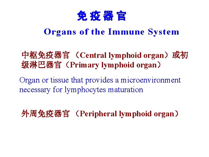 免疫器官 Organs of the Immune System 中枢免疫器官 （Central lymphoid organ）或初 级淋巴器官（Primary lymphoid organ） Organ