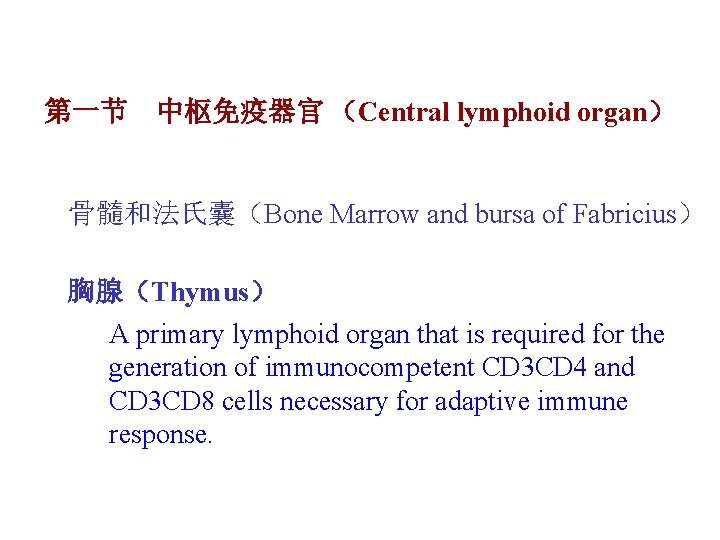 第一节 中枢免疫器官 （Central lymphoid organ） 骨髓和法氏囊（Bone Marrow and bursa of Fabricius） 胸腺（Thymus） A primary