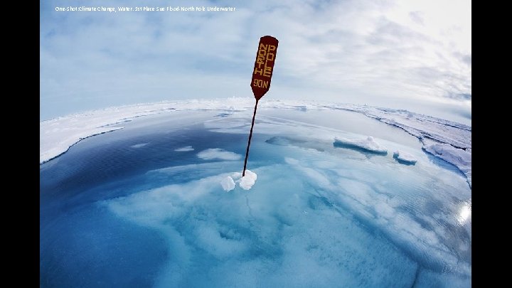 One-Shot: Climate Change, Water. 1 st Place Sue Flood-North Pole Underwater 