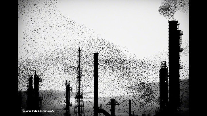 Massimo Cristaldi-Refinery Flocks 