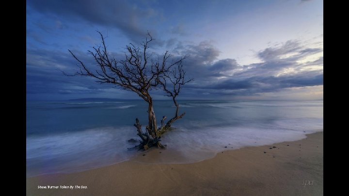 Steve Turner-Taken By The Sea. 