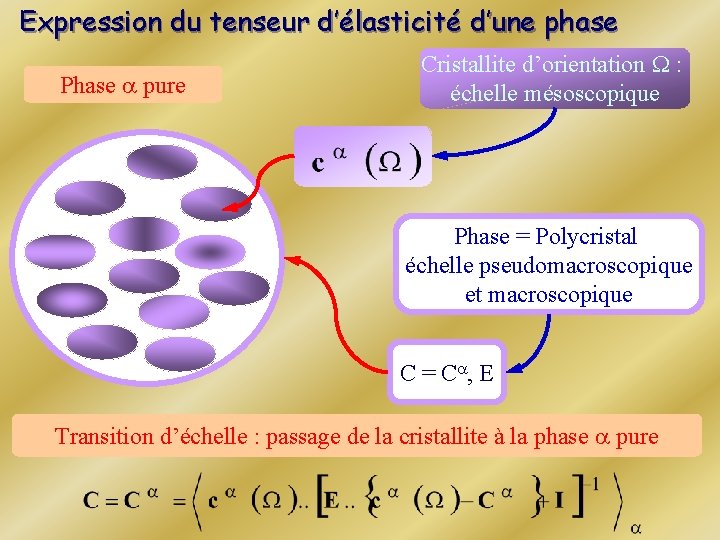 Expression du tenseur d’élasticité d’une phase Phase a pure Cristallite d’orientation W : échelle