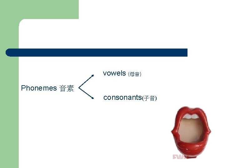 vowels (母音) Phonemes 音素 consonants(子音) 