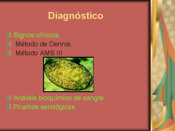 Diagnóstico Signos clínicos. Método de Dennis. Método AMS III Análisis bioquímico de sangre. Pruebas