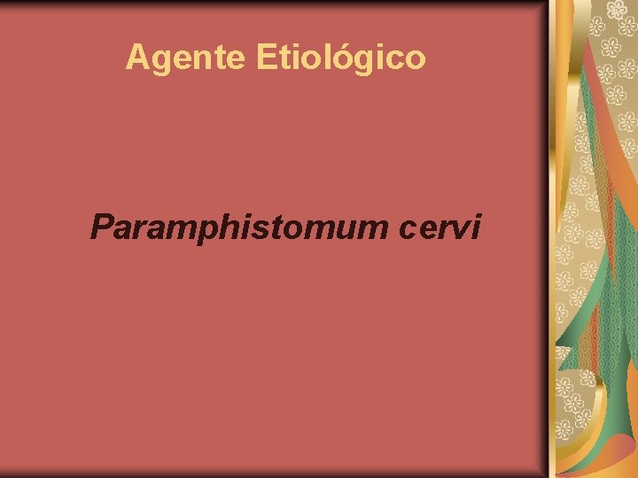 Agente Etiológico Paramphistomum cervi 