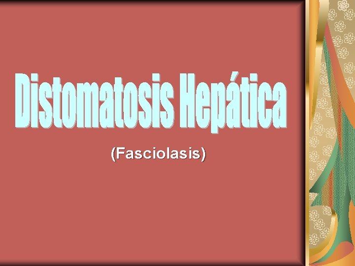 (Fasciolasis) 