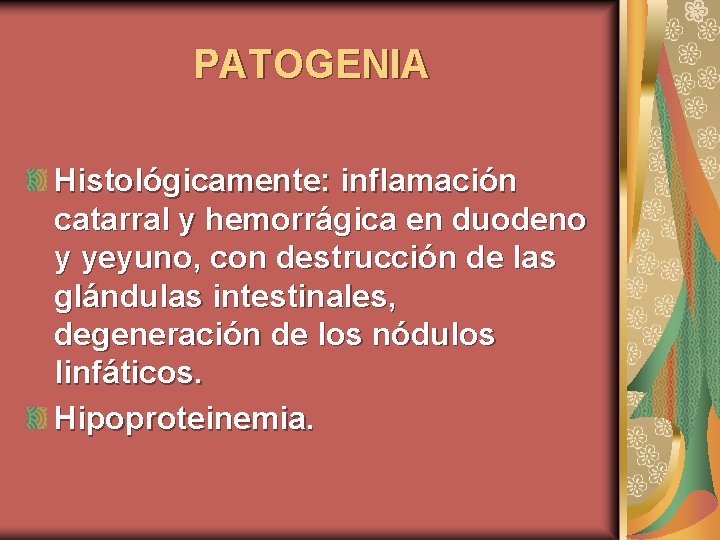 PATOGENIA Histológicamente: inflamación catarral y hemorrágica en duodeno y yeyuno, con destrucción de las