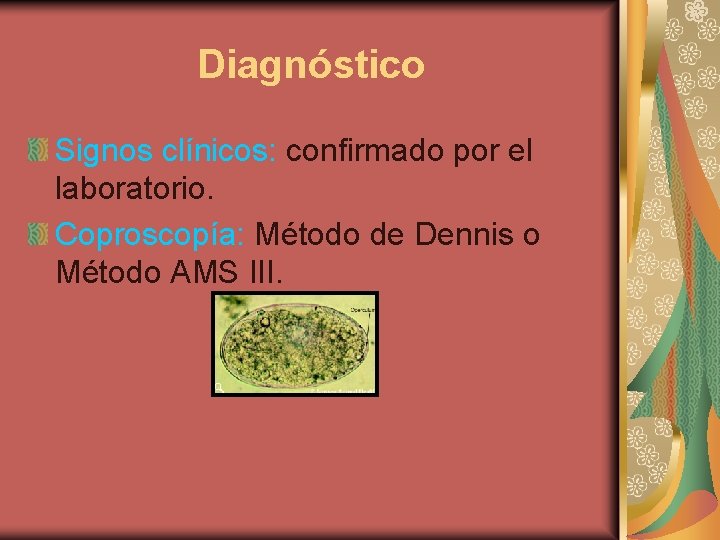 Diagnóstico Signos clínicos: confirmado por el laboratorio. Coproscopía: Método de Dennis o Método AMS