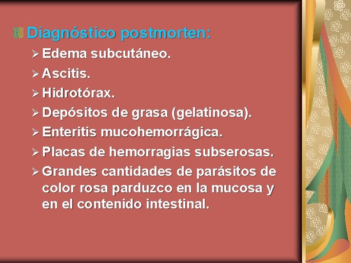 Diagnóstico postmorten: Ø Edema subcutáneo. Ø Ascitis. Ø Hidrotórax. Ø Depósitos de grasa (gelatinosa).