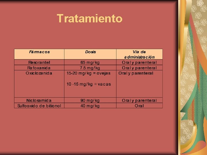 Tratamiento 