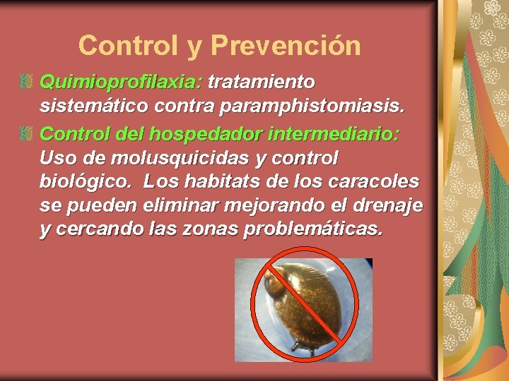 Control y Prevención Quimioprofilaxia: tratamiento sistemático contra paramphistomiasis. Control del hospedador intermediario: Uso de