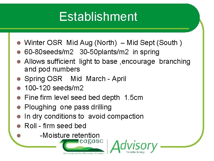 Establishment l l l l l Winter OSR Mid Aug (North) – Mid Sept