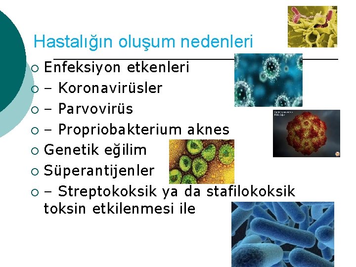 Hastalığın oluşum nedenleri Enfeksiyon etkenleri ¡ – Koronavirüsler ¡ – Parvovirüs ¡ – Propriobakterium