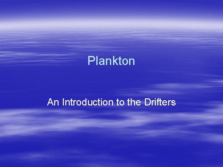 Plankton An Introduction to the Drifters 