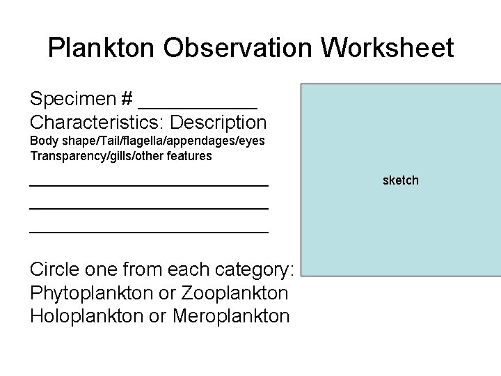 Plankton Observation Worksheet Specimen # ______ Characteristics: Description Body shape/Tail/flagella/appendages/eyes Transparency/gills/other features ______________________ Circle