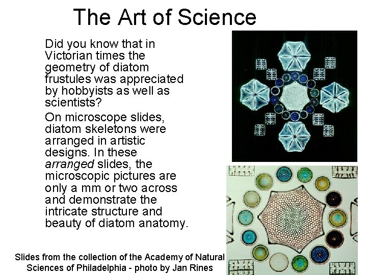 The Art of Science Did you know that in Victorian times the geometry of
