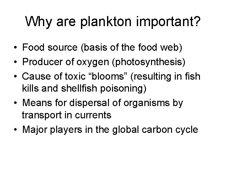 Why are plankton important? • Food source (basis of the food web) • Producer