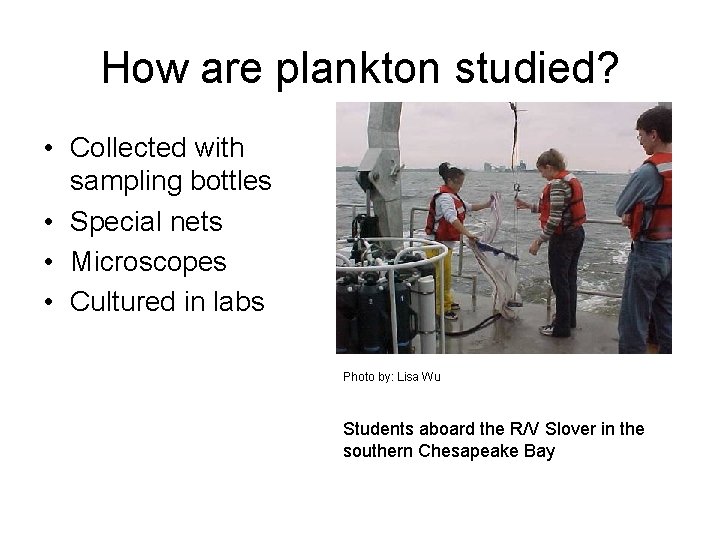 How are plankton studied? • Collected with sampling bottles • Special nets • Microscopes