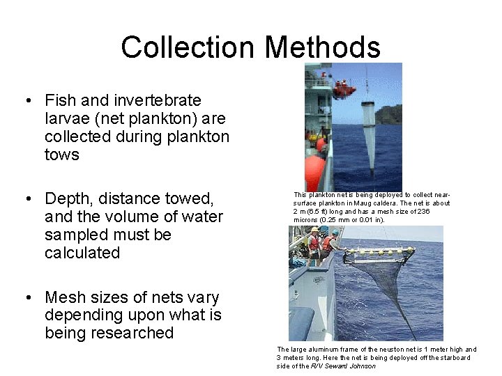 Collection Methods • Fish and invertebrate larvae (net plankton) are collected during plankton tows