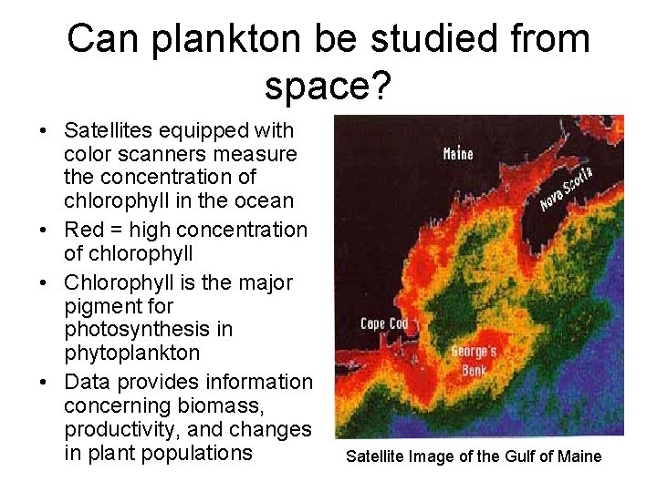 Can plankton be studied from space? • Satellites equipped with color scanners measure the