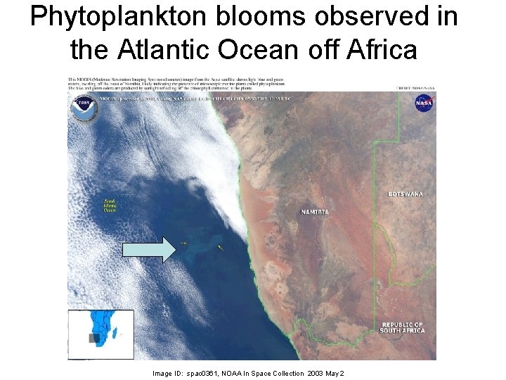 Phytoplankton blooms observed in the Atlantic Ocean off Africa Image ID: spac 0361, NOAA