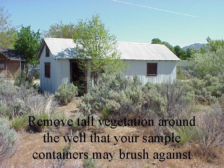 Remove tall vegetation around the well that your sample containers may brush against 