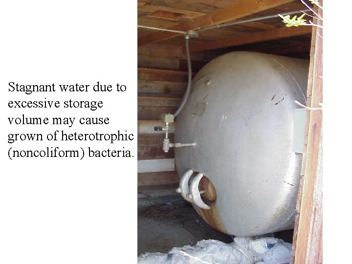 Stagnant water due to excessive storage volume may cause grown of heterotrophic (noncoliform) bacteria.