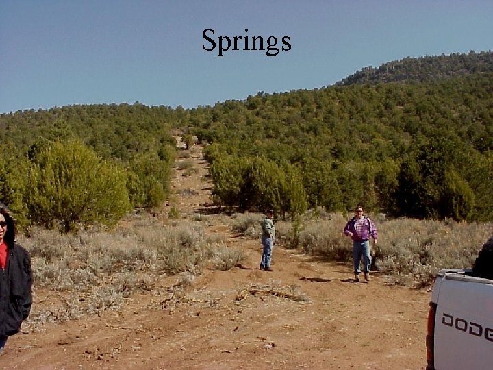 Springs Springs