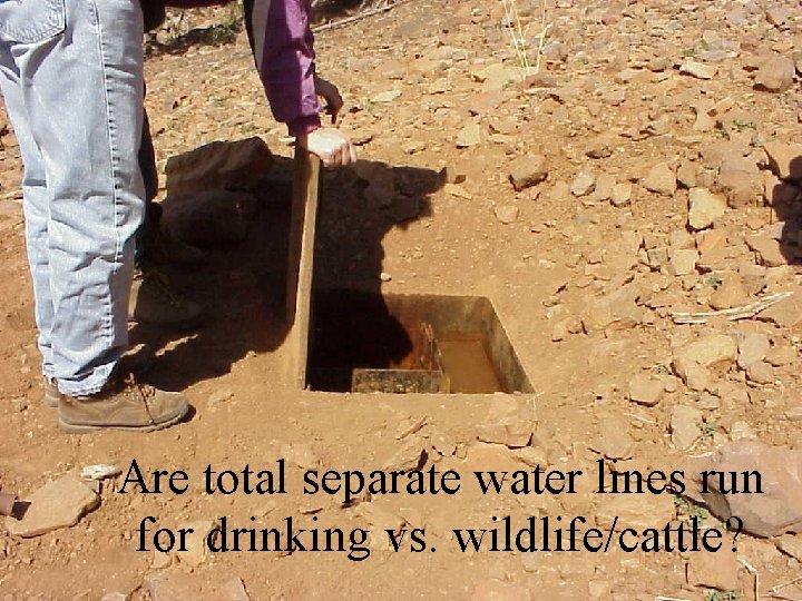 Are total separate water lines run for drinking vs. wildlife/cattle? 