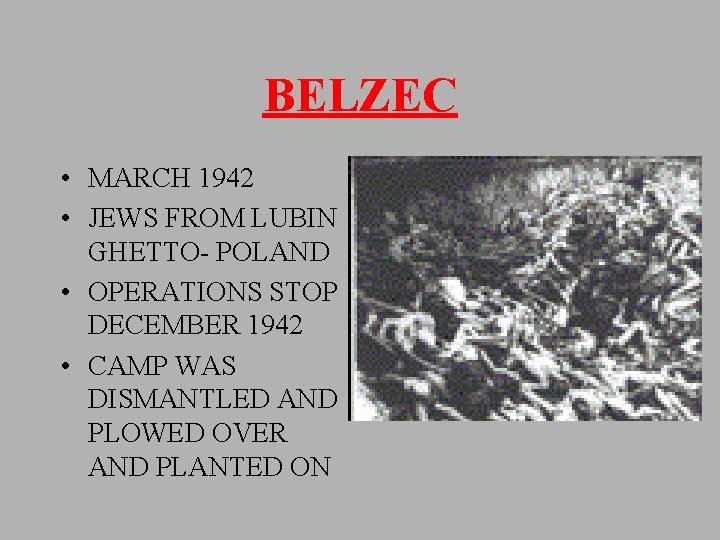 BELZEC • MARCH 1942 • JEWS FROM LUBIN GHETTO- POLAND • OPERATIONS STOP DECEMBER