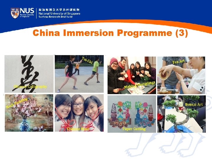 China Immersion Programme (3) China Immersion Programme (3)