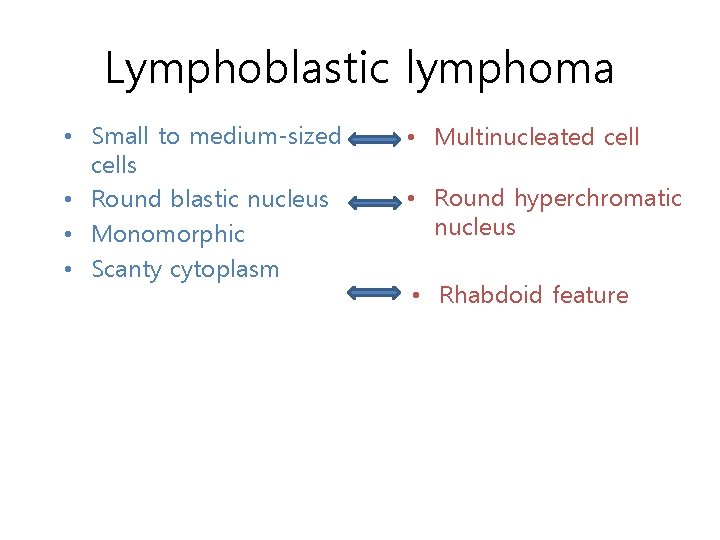 Lymphoblastic lymphoma • Small to medium-sized cells • Round blastic nucleus • Monomorphic •