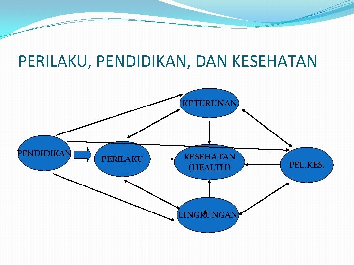 PERILAKU, PENDIDIKAN, DAN KESEHATAN KETURUNAN PENDIDIKAN PERILAKU KESEHATAN (HEALTH) LINGKUNGAN PEL. KES. 