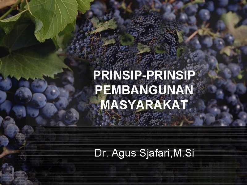 PRINSIP-PRINSIP PEMBANGUNAN MASYARAKAT Dr. Agus Sjafari, M. Si 