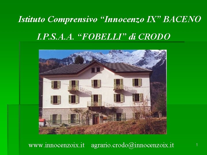 Istituto Comprensivo “Innocenzo IX” BACENO I. P. S. A. A. “FOBELLI” di CRODO www.