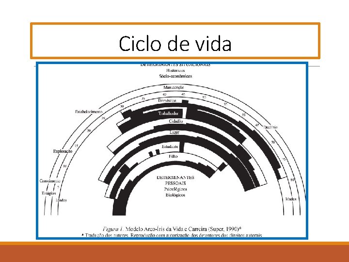 Ciclo de vida Ciclo de vida