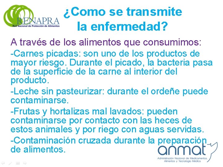 ¿Como se transmite la enfermedad? A través de los alimentos que consumimos: -Carnes picadas: