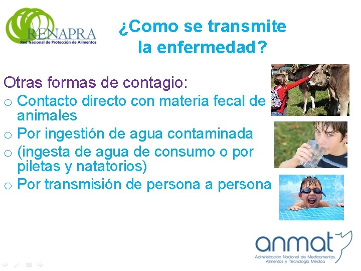 ¿Como se transmite la enfermedad? Otras formas de contagio: o Contacto directo con materia