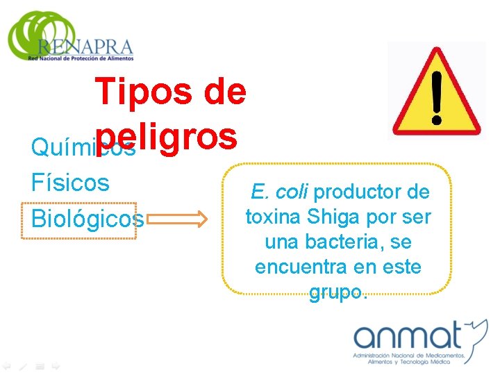 Tipos de peligros Químicos Físicos Biológicos E. coli productor de toxina Shiga por ser