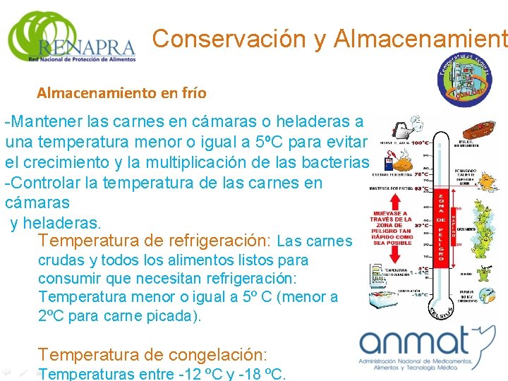 Conservación y Almacenamiento en frío -Mantener las carnes en cámaras o heladeras a una